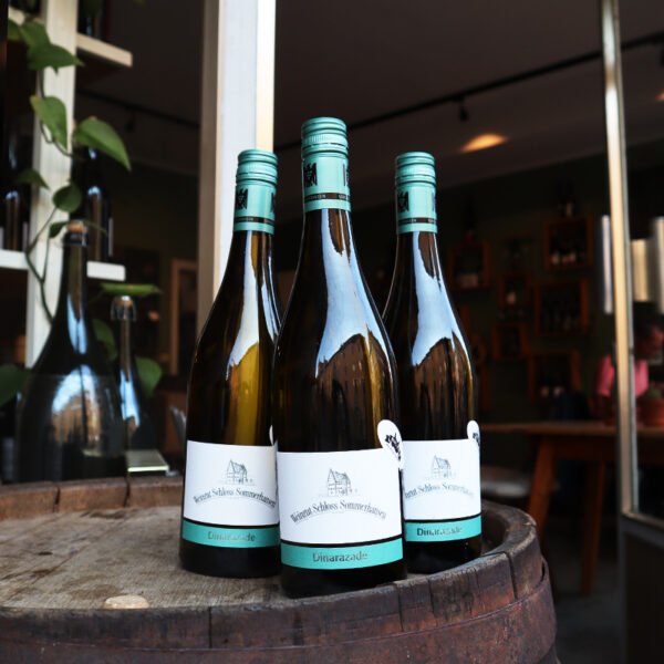 Dinarazade - Weingut Schloss Sommerhausen – Bild 10