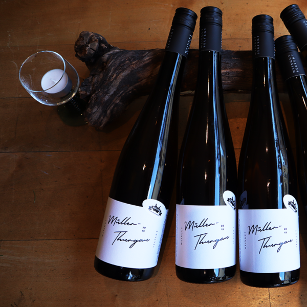 Müller-Thurgau "Old one" - Laura Seufert
