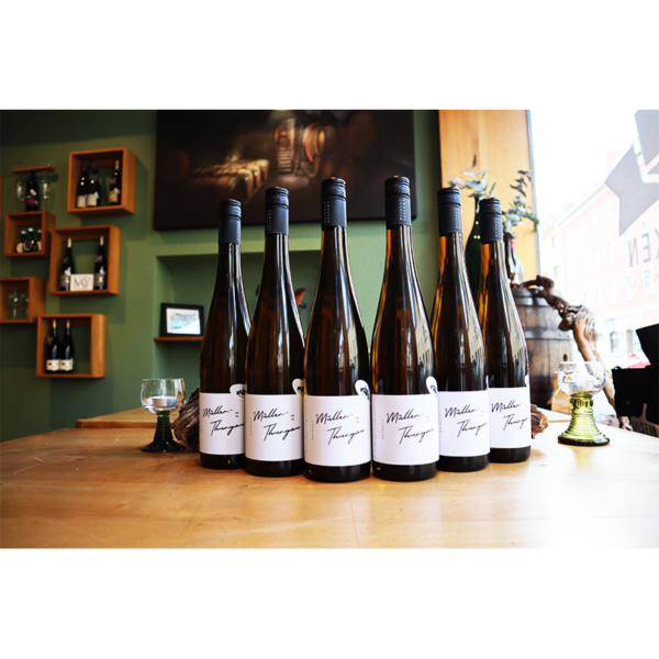 Müller-Thurgau "Old one" - Laura Seufert – Bild 3