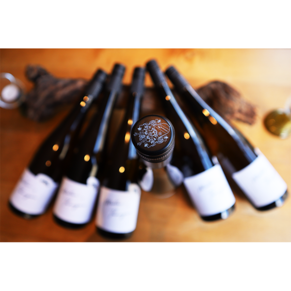 Müller-Thurgau "Old one" - Laura Seufert – Bild 8