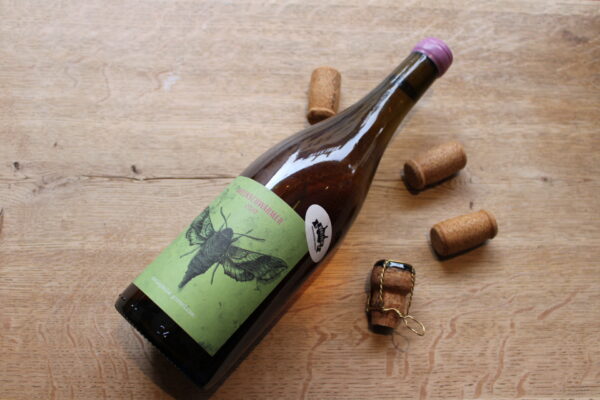 Weinschwärmer 2020 / 2 Naturkinder Kitzingen