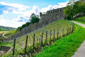 Weinbergswanderung Wolkenlos @ Wohlsein Weine Würzburg